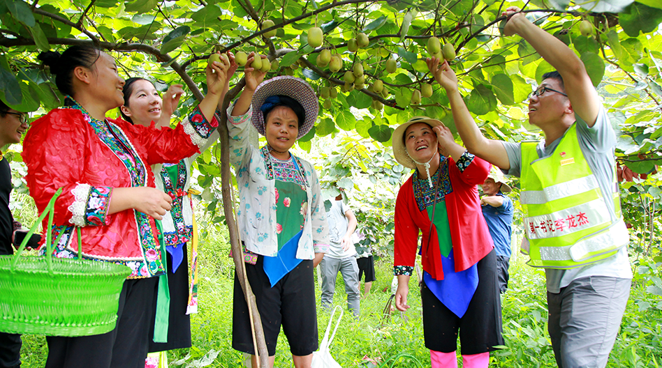 E������(esball)�ٷ���վ-���ߵ�¼��ҳ