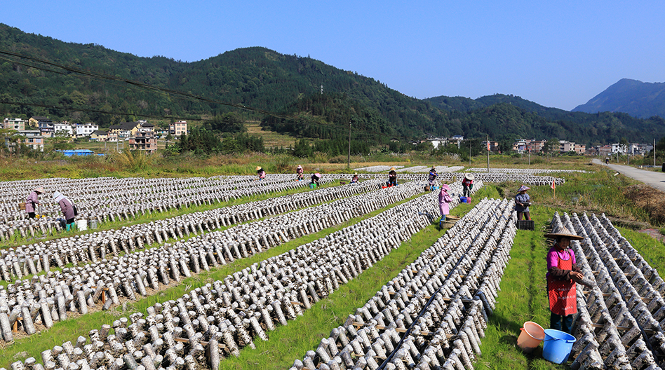 E������(esball)�ٷ���վ-���ߵ�¼��ҳ